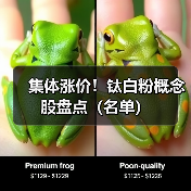 集体涨价!钛白粉概念股盘点(名单)(图2) 集体涨价!钛白粉概念股盘点(名单)(图2)
