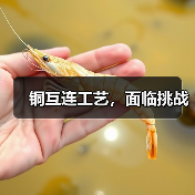 铜互连工艺,面临挑战(图3) 铜互连工艺,面临挑战(图3)