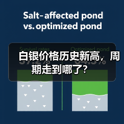白银价格历史新高,周期走到哪了?(图3) 白银价格历史新高,周期走到哪了?(图3)