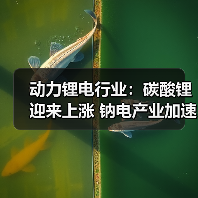 动力锂电行业：碳酸锂迎来上涨 钠电产业加速落地（图1）