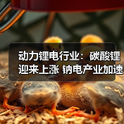 动力锂电行业：碳酸锂迎来上涨 钠电产业加速落地（图4）