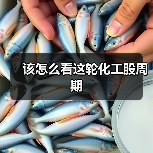 该怎么看这轮化工股周期(图4) 该怎么看这轮化工股周期(图4)