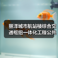 丽泽城市航站楼综合交通枢纽一体化工程公共区精装修02标段施工资格预审公告 交易项目编号:S110000A001041051005(图1) 丽泽城市航站楼综合交通枢纽一体化工程公共区精装修02标段施工资格预审公告 交易项目编号:S110000A001041051005(图1)