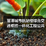 丽泽城市航站楼综合交通枢纽一体化工程公共区精装修02标段施工资格预审公告 交易项目编号:S110000A001041051005(图3) 丽泽城市航站楼综合交通枢纽一体化工程公共区精装修02标段施工资格预审公告 交易项目编号:S110000A001041051005(图3)