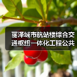 丽泽城市航站楼综合交通枢纽一体化工程公共区精装修03标段施工资格预审公告 交易项目编号:S110000A001041051006(图2) 丽泽城市航站楼综合交通枢纽一体化工程公共区精装修03标段施工资格预审公告 交易项目编号:S110000A001041051006(图2)