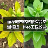 丽泽城市航站楼综合交通枢纽一体化工程公共区精装修03标段施工资格预审公告 交易项目编号:S110000A001041051006(图3) 丽泽城市航站楼综合交通枢纽一体化工程公共区精装修03标段施工资格预审公告 交易项目编号:S110000A001041051006(图3)