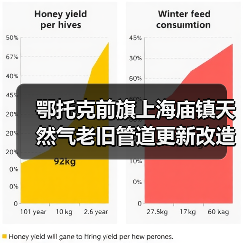 鄂托克前旗上海庙镇天然气老旧管道更新改造项目(图2) 鄂托克前旗上海庙镇天然气老旧管道更新改造项目(图2)