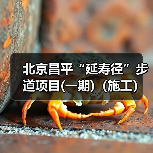 北京昌平“延寿径”步道项目(一期)（施工）（二次招标）资格预审公告 交易项目编号：S110000A001042442001（图1）