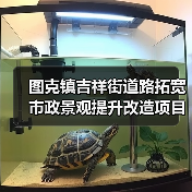 图克镇吉祥街道路拓宽市政景观提升改造项目设计、施工总承包标段招标公告(图2) 图克镇吉祥街道路拓宽市政景观提升改造项目设计、施工总承包标段招标公告(图2)