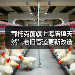 鄂托克前旗上海庙镇天然气老旧管道更新改造项目(图4) 鄂托克前旗上海庙镇天然气老旧管道更新改造项目(图4)