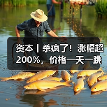 资本丨杀疯了!涨幅超200%,价格一天一跳,拐点在哪?(图2) 资本丨杀疯了!涨幅超200%,价格一天一跳,拐点在哪?(图2)