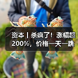 资本丨杀疯了!涨幅超200%,价格一天一跳,拐点在哪?(图1) 资本丨杀疯了!涨幅超200%,价格一天一跳,拐点在哪?(图1)
