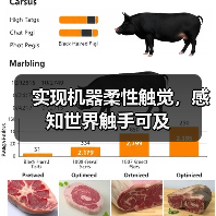 实现机器柔性触觉,感知世界触手可及(图1) 实现机器柔性触觉,感知世界触手可及(图1)