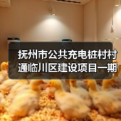 抚州市公共充电桩村村通临川区建设项目一期招标采购公告(图3) 抚州市公共充电桩村村通临川区建设项目一期招标采购公告(图3)