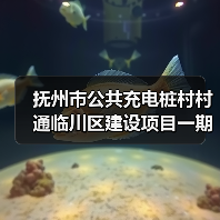 抚州市公共充电桩村村通临川区建设项目一期招标采购公告(图1) 抚州市公共充电桩村村通临川区建设项目一期招标采购公告(图1)