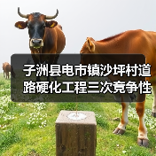 子洲县电市镇沙坪村道路硬化工程三次竞争性磋商公告(图4) 子洲县电市镇沙坪村道路硬化工程三次竞争性磋商公告(图4)