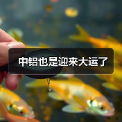 中铝也是迎来大运了(图4) 中铝也是迎来大运了(图4)