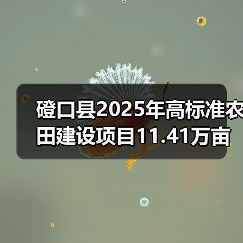 磴口县2025年高标准农田建设项目11.41万亩(第二批)施工第十标段至第十四标段招标公告(图4) 磴口县2025年高标准农田建设项目11.41万亩(第二批)施工第十标段至第十四标段招标公告(图4)