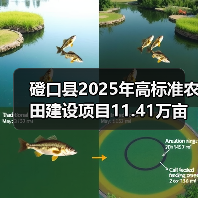 磴口县2025年高标准农田建设项目11.41万亩(第二批)施工第十标段至第十四标段招标公告(图2) 磴口县2025年高标准农田建设项目11.41万亩(第二批)施工第十标段至第十四标段招标公告(图2)