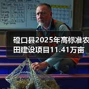 磴口县2025年高标准农田建设项目11.41万亩(第二批)施工第十标段至第十四标段招标公告(图3) 磴口县2025年高标准农田建设项目11.41万亩(第二批)施工第十标段至第十四标段招标公告(图3)