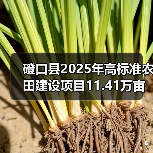 磴口县2025年高标准农田建设项目11.41万亩(第二批)施工第十标段至第十四标段招标公告(图1) 磴口县2025年高标准农田建设项目11.41万亩(第二批)施工第十标段至第十四标段招标公告(图1)