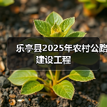 乐亭县2025年农村公路建设工程(图4) 乐亭县2025年农村公路建设工程(图4)