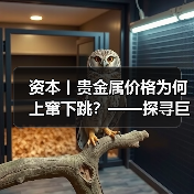 资本丨贵金属价格为何上窜下跳?——探寻巨幅波动背后推手(图2) 资本丨贵金属价格为何上窜下跳?——探寻巨幅波动背后推手(图2)