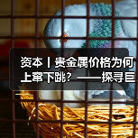 资本丨贵金属价格为何上窜下跳?——探寻巨幅波动背后推手(图4) 资本丨贵金属价格为何上窜下跳?——探寻巨幅波动背后推手(图4)