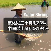氧化铽三个月涨23%,中国稀土净利飙194%,重稀土龙头周期反转(图4) 氧化铽三个月涨23%,中国稀土净利飙194%,重稀土龙头周期反转(图4)