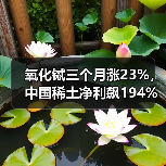 氧化铽三个月涨23%,中国稀土净利飙194%,重稀土龙头周期反转(图2) 氧化铽三个月涨23%,中国稀土净利飙194%,重稀土龙头周期反转(图2)