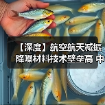 【深度】航空航天减振降噪材料技术壁垒高 中国企业竞争力持续增强(图4) 【深度】航空航天减振降噪材料技术壁垒高 中国企业竞争力持续增强(图4)
