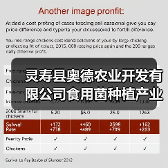 灵寿县奥德农业开发有限公司食用菌种植产业园建设项目招标公告(图4) 灵寿县奥德农业开发有限公司食用菌种植产业园建设项目招标公告(图4)