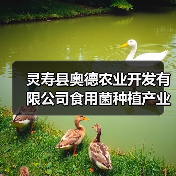 灵寿县奥德农业开发有限公司食用菌种植产业园建设项目招标公告(图3) 灵寿县奥德农业开发有限公司食用菌种植产业园建设项目招标公告(图3)