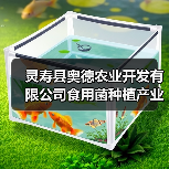 灵寿县奥德农业开发有限公司食用菌种植产业园建设项目招标公告(图2) 灵寿县奥德农业开发有限公司食用菌种植产业园建设项目招标公告(图2)