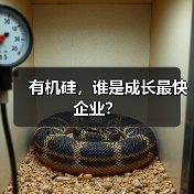 有机硅,谁是成长最快企业?(图2) 有机硅,谁是成长最快企业?(图2)