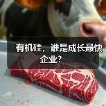 有机硅,谁是成长最快企业?(图4) 有机硅,谁是成长最快企业?(图4)