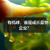 有机硅,谁是成长最快企业?(图3) 有机硅,谁是成长最快企业?(图3)