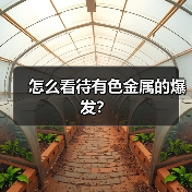 怎么看待有色金属的爆发？（图4）