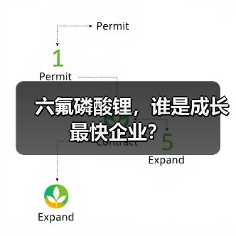 六氟磷酸锂,谁是成长最快企业?(图4) 六氟磷酸锂,谁是成长最快企业?(图4)
