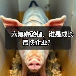 六氟磷酸锂,谁是成长最快企业?(图3) 六氟磷酸锂,谁是成长最快企业?(图3)