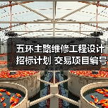 五环主路维修工程设计招标计划 交易项目编号：S110000P001027024（图3）