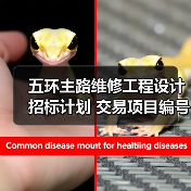 五环主路维修工程设计招标计划 交易项目编号：S110000P001027024（图2）