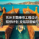 五环主路维修工程设计招标计划 交易项目编号：S110000P001027024（图1）