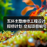 五环主路维修工程设计招标计划 交易项目编号：S110000P001027024（图4）