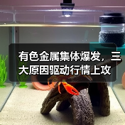 有色金属集体爆发，三大原因驱动行情上攻（图2）
