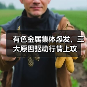 有色金属集体爆发，三大原因驱动行情上攻（图3）