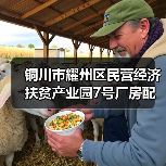 铜川市耀州区民营经济扶贫产业园7号厂房配电工程竞争性磋商公告（图3）