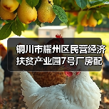 铜川市耀州区民营经济扶贫产业园7号厂房配电工程竞争性磋商公告（图2）