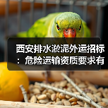 西安排水淤泥外运招标：危险运输资质要求有哪些？