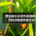西安排水淤泥外运招标：危险运输资质要求有哪些？（图4）